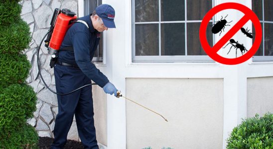 Amasra Böcek İlaçlama böcek ilaçlama ve haşere kontrolü — ilaclama-tr.com